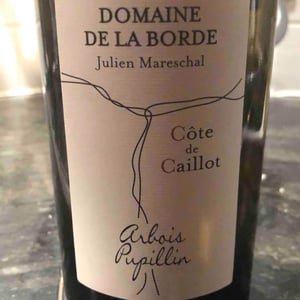 Côte de Caillot - Domaine de la Borde - julien-mareschal
