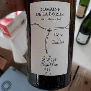 Domaine de la Borde - Julien Mareschal - Côte de Caillot