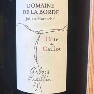 Côte de Caillot - Domaine de la Borde - julien-mareschal