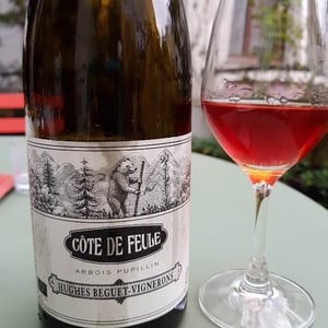 Côte De Feule - Domaine Hughes-Beguet - caroline-patrice-hughes-beguet