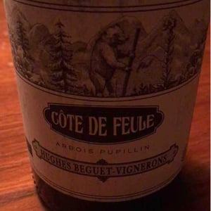 Côte De Feule - Domaine Hughes-Beguet - caroline-patrice-hughes-beguet