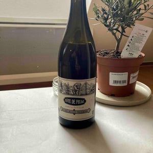 Côte De Feule - Domaine Hughes-Beguet - Caroline & Patrice Hughes Béguet 