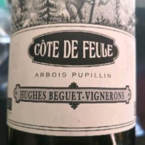 Côte De Feule - Domaine Hughes-Beguet - Caroline & Patrice Hughes Béguet 