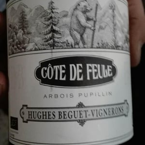 Côte De Feule - Domaine Hughes-Beguet - Caroline & Patrice Hughes Béguet 