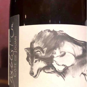 Côte de Jouan - Domaine Pattes Loup - Thomas Pico 