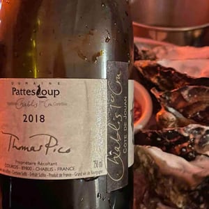 Côte de Jouan - Domaine Pattes Loup - thomas-pico