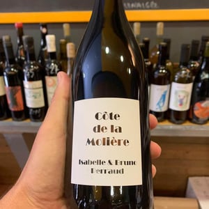 Côte de la Molière - Côtes de la Molière - isabelle-bruno-perraud -2011