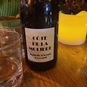 Côte de la Molière - Côtes de la Molière - isabelle-bruno-perraud -2011