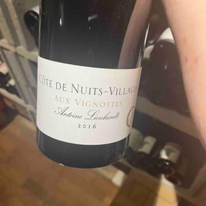 Côte de Nuits-Villages "Aux Vignottes" - Antoine Lienhardt - antoine-lienhardt