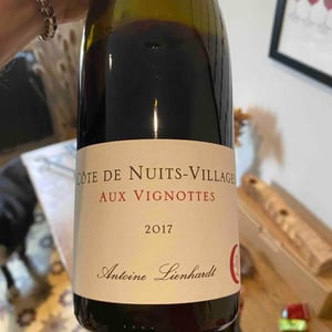 Côte de Nuits-Villages "Aux Vignottes" - Antoine Lienhardt - Antoine Lienhardt 
