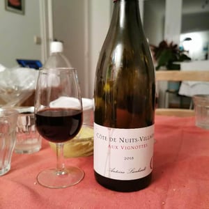Côte de Nuits-Villages "Aux Vignottes" - Antoine Lienhardt - Antoine Lienhardt 