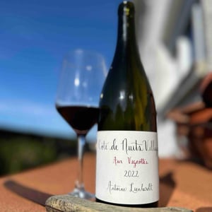 Côte de Nuits-Villages " Aux Vignottes" (Label from 2020) - Antoine Lienhardt - Antoine Lienhardt 