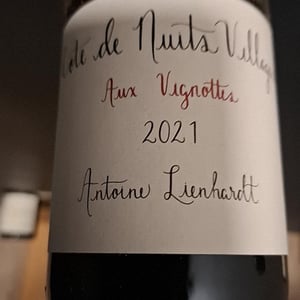 Côte de Nuits-Villages " Aux Vignottes" (Label from 2020) - Antoine Lienhardt - antoine-lienhardt