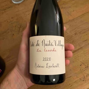 Côte de Nuits-Villages "Les Essards" - Antoine Lienhardt - antoine-lienhardt