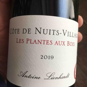 Côte de Nuits-Villages "Les Plantes aux Bois" - Antoine Lienhardt - antoine-lienhardt