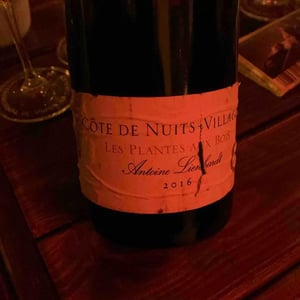 Côte de Nuits-Villages "Les Plantes aux Bois" - Antoine Lienhardt - Antoine Lienhardt 