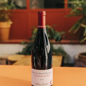 Côte de Nuits-Villages "Les Plantes aux Bois" - Antoine Lienhardt - antoine-lienhardt