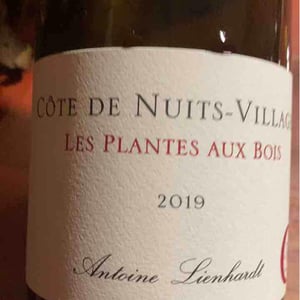 Côte de Nuits-Villages "Les Plantes aux Bois" - Antoine Lienhardt - Antoine Lienhardt 