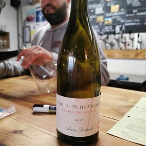 Côte de Nuits-Villages "Les Plantes aux Bois" - Antoine Lienhardt - antoine-lienhardt