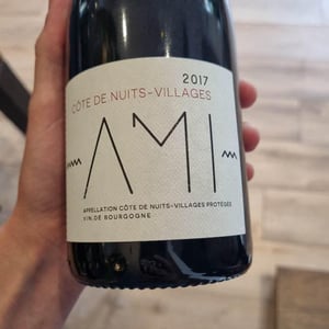 Côte De Nuits Villages - Domaine Ami - paul-marchand-perarnau-willy-roulendes