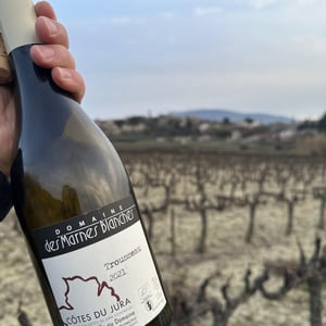 Trousseau - Domaine Des Marnes Blanches - pauline-geraud-fromont