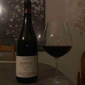 Domaine Marcel Joubert - Carine Joubert - Côte du Py