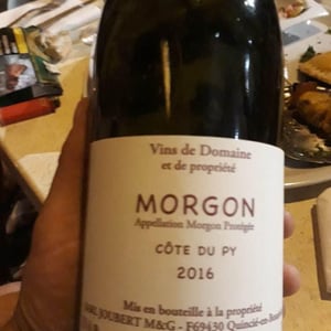 Domaine Marcel Joubert - Carine Joubert - Côte du Py