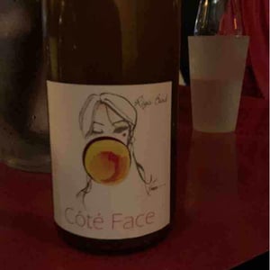 Côté Face - Domaine Bard (CLOSED) - regis-bard-closed