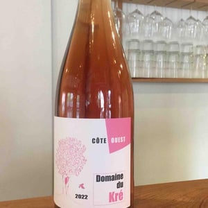 Côte Ouest - Domaine du Kré - louise-perret-et-niels-de-chardon -2022
