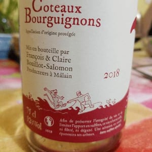 Coteau Bourguignons 2018