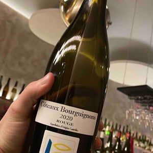 Coteaux Bourguignon - Domaine Prieuré Roch - Henry-Frédéric Roch & Yannick Champ -2020