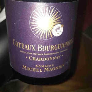 Coteaux Bourguignons - Domaine Michel Magnien - frederic-magnien