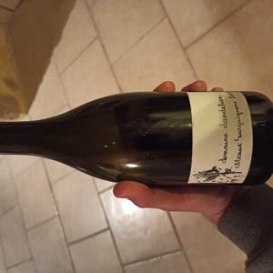 Coteaux Bourguignons - Domaine Dandelion - Morgane Seuillot & Christian Knott 