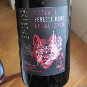 Côteaux Bourguignons - Chapuis & Chapuis - Romain & Jean-Guillaume Chapuis 