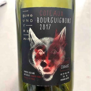 Côteaux Bourguignons 2017