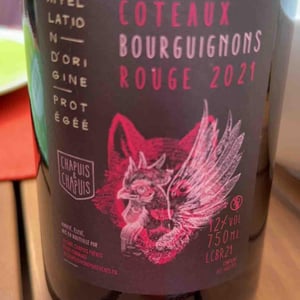 Côteaux Bourguignons - Chapuis & Chapuis - Romain & Jean-Guillaume Chapuis 