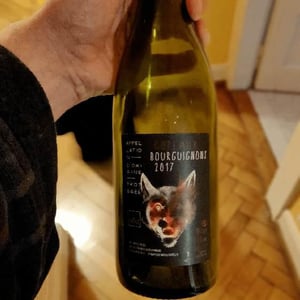 Côteaux Bourguignons - Chapuis & Chapuis - romain-jean-guillaume-chapuis
