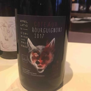Chapuis & Chapuis - Romain & Jean-Guillaume Chapuis - Côteaux Bourguignons
