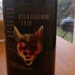 Côteaux Bourguignons 2018