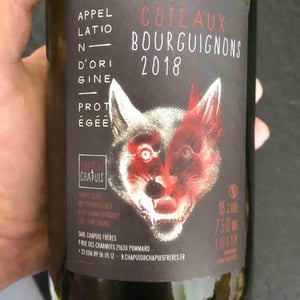 Côteaux Bourguignons - Chapuis & Chapuis - romain-jean-guillaume-chapuis