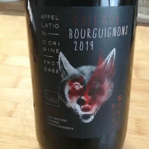 Chapuis & Chapuis - Romain & Jean-Guillaume Chapuis - Côteaux Bourguignons