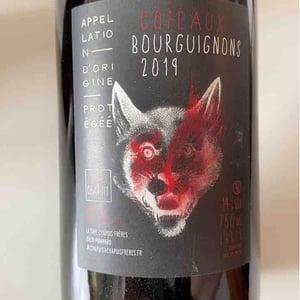 Chapuis & Chapuis - Romain & Jean-Guillaume Chapuis - Côteaux Bourguignons