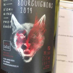 Côteaux Bourguignons - Chapuis & Chapuis - romain-jean-guillaume-chapuis