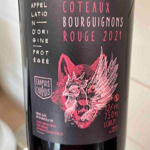 Côteaux Bourguignons - Chapuis & Chapuis - Romain & Jean-Guillaume Chapuis 