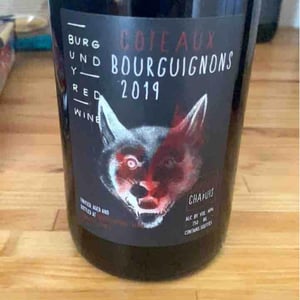 Chapuis & Chapuis - Romain & Jean-Guillaume Chapuis - Côteaux Bourguignons
