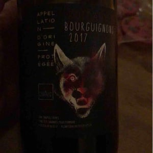 Chapuis & Chapuis - Romain & Jean-Guillaume Chapuis - Côteaux Bourguignons