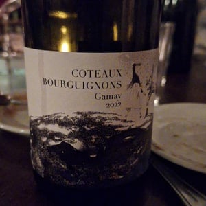 Coteaux Bourguignons Gamay - Domaine Didon - Naima & David Didon 