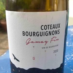 Coteaux Bourguignons Gamay Fin - Boris Champy - boris-champy -2020