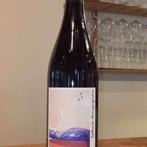 Coteaux-Bourguignons - La Chaume des Lies - margaux-rivaux-lothar-galloo