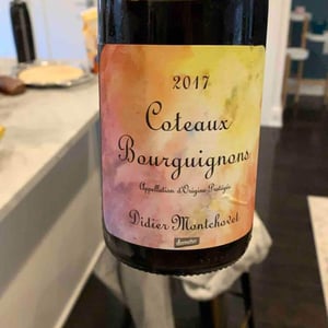Coteaux Bourguignons - Domaine Montchovet - didier-montchovet